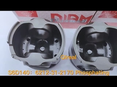 6212-31-2170 Phốt phát